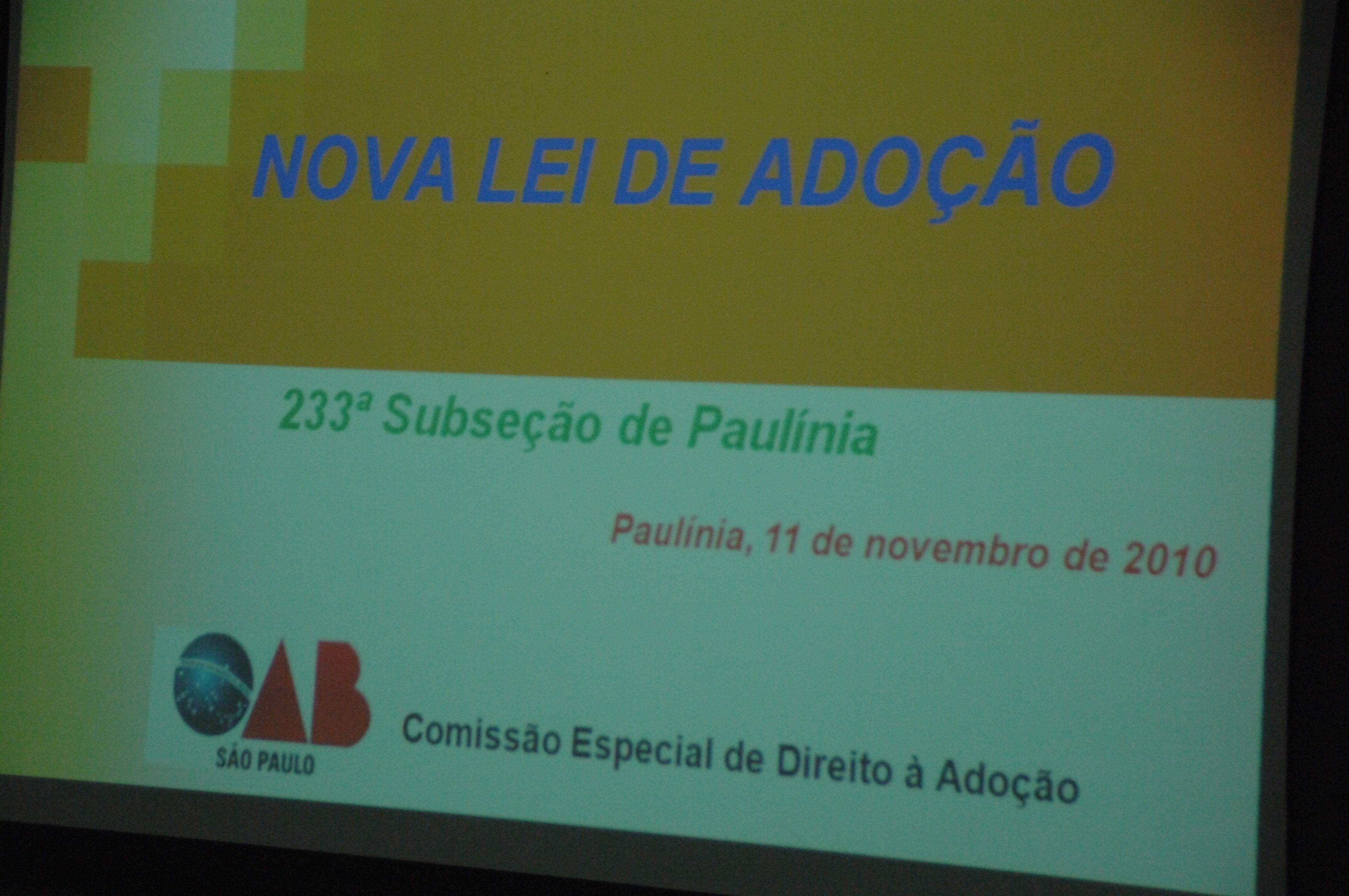 Palestra OAB Nova Lei de Adoção